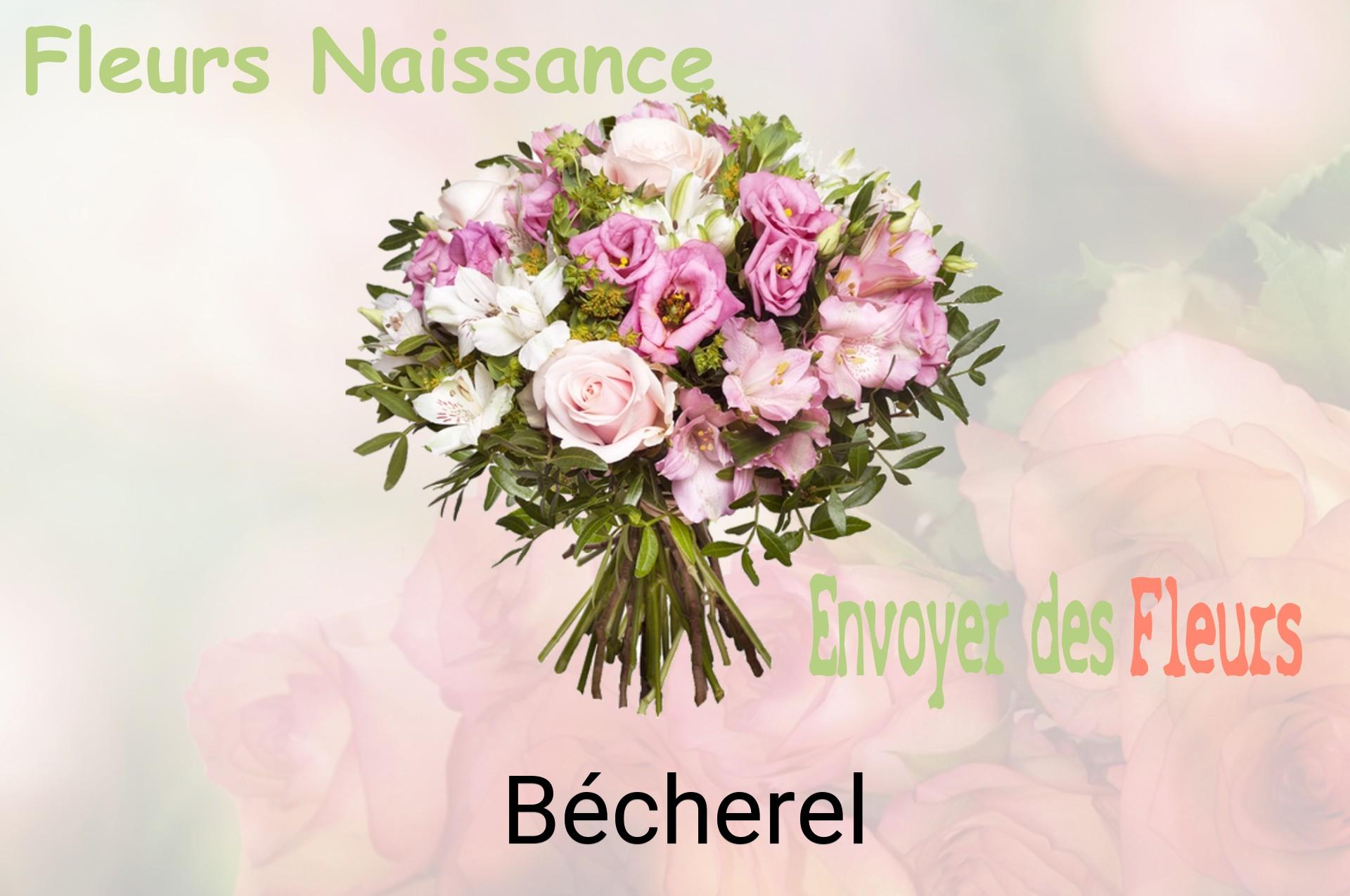 Bouquet de fleurs de naissance livré à Bécherel
